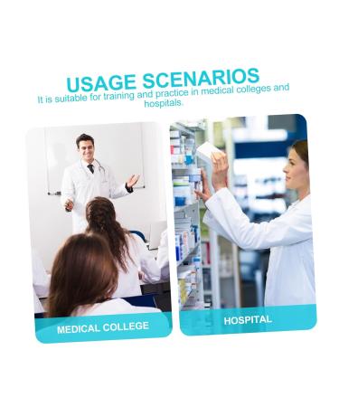 Buy FRCOLOR Ear Model Hearing Amplifiers - Portable Anatomy Display for Teaching & Presentations - Perfect Science Tool for Education - Buy Online on GoSupps.com