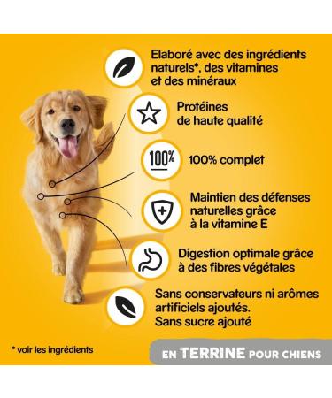 Pedigree Dog Meal - Terrine Boxes for Adult Dogs with Beef and Carrots - 12 x 800g - Buy Online on GoSupps.com