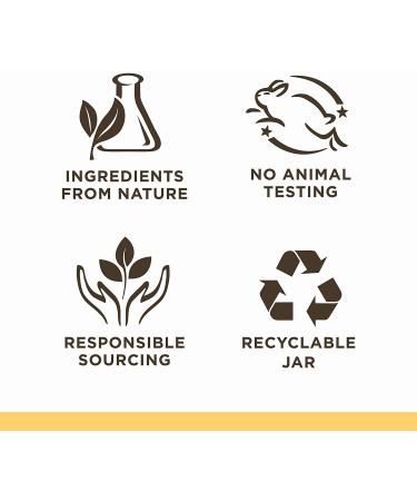 Sandalwood's Organics Healing Salve - Natural Calendula Ointment for Baby | Diaper Rash, Minor Burn, Chafing Relief | Moisturizing Balm with Marigold, Lavender, Coconut Oil, Beeswax - Yellow - Buy Online on GoSupps.com