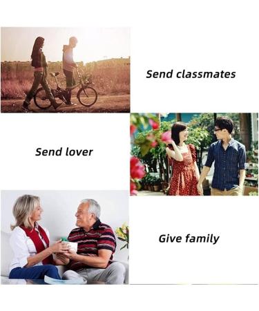 Natural Crystal Rough Pyramid Crystal Black Natural Obsidian Quartz Crystal for Home Decor Beautiful Lustrous Surface Stones and Crystals Crafts - Buy Online on GoSupps.com