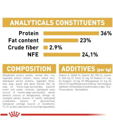 Royal Canin Maine Coon Kitten Dry Food 400g Poultry 400 g (Pack of 1) - Buy Online on GoSupps.com