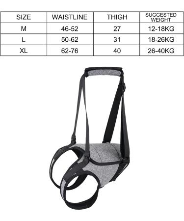 Hamon Portable Dog Harness for Hind Legs | Dog Lifting Aid for Older & Sick Dogs (Large) - Buy Online on GoSupps.com