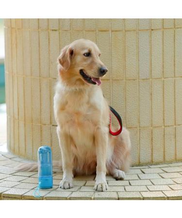 Pettom 420ml Portable Dog Water Bottle - Leak-Proof & Safe Foldable Pet Drinking Bottle for Travel Hiking & Training - Blue - Buy Online on GoSupps.com