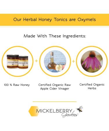 Ginger Honey Tonic - Organic Ginger Root Immune + Digestion Support (4oz) - Buy Online on GoSupps.com