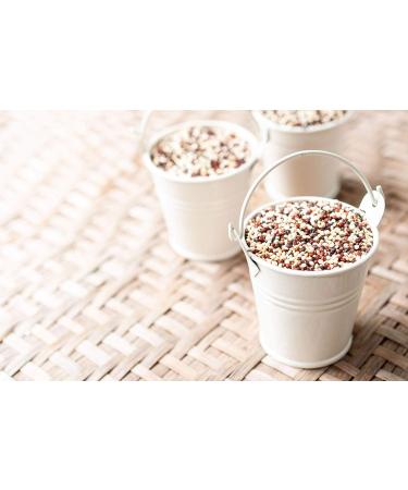 Organic Tri-Color Quinoa 10lb Pack - Non-GMO Three-Color Blend of White, Black, & Red Quinoa - Whole Grain, Kosher, Vegan - Sproutable & Sirtfood - High Fiber & Protein - Bulk Buy - Buy Online on GoSupps.com