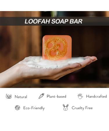 Dapoprren Natural Loofah Soap Bar 4PCS - Exfoliating Turmeric Aloe Rose Coconut Milk Soap - Handmade Moisturizing Soap for Face and Body - Buy Online on GoSupps.com