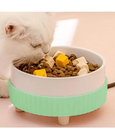 Buy Eactel Heated Animal Drinking Water Bowl - Rechargeable Pet Heater & Fountain for Cats Kittens & Puppies - Green - Buy Online on GoSupps.com
