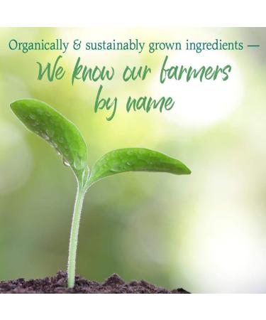 Garden of Life RAW Perfect Food Green Superfood - 240 Vegan Juiced Greens Capsules - Buy Online on GoSupps.com