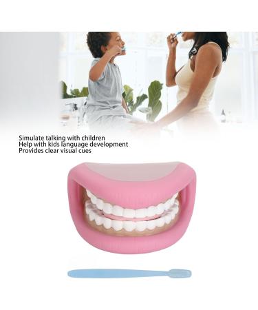 Dental Care Model with Toothbrush & 28 Teeth - Children's Educational Mouth Puppet for Teaching & Studying - Buy Online on GoSupps.com