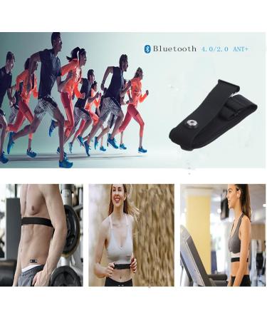 Buy Smallterm Wireless Heart Rate Monitor Chest Strap - Accurate Heart Rate Measurement for Sports - Buy Online on GoSupps.com