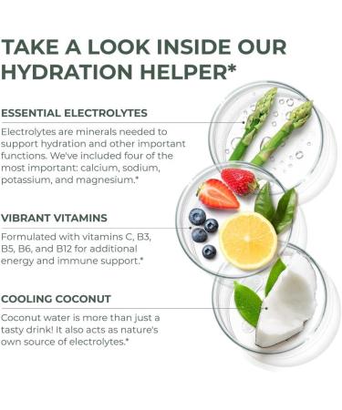 Primal Creatine Powder + Primal Hydration Stick Pack Bundle | 2-Pack | Boost Performance Recovery & Electrolyte Balance | 30 Servings Each - Buy Online on GoSupps.com