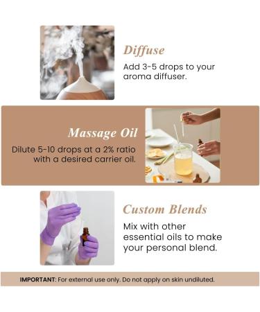 Handcraft Blends Fresh Woods Set: Cedarwood and Lemon Essential Oils (2 x 4 Fl Oz) 100% Pure & Natural for Diffuser Aromatherapy and DIY Projects - Buy Online on GoSupps.com