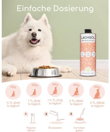 Premium Norwegian Salmon Oil for Dogs - 1L Omega 3 & 6 Supplement | Natural Atlantic Salmon - Buy Online on GoSupps.com