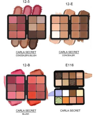  PCC PTYXIS Carmine Contour Color Palette 12 Colors Professional Color Concealer Cream Waterproof Color Palette Suitable for Oily Dry or Sensitive Skin (#12-B 12 Colors) - Buy Online on GoSupps.com