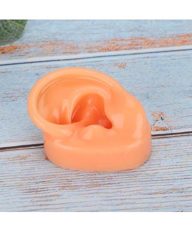Buy Professional Silicone Left Ear Model - Anatomical Human Ohr Simulation for Acupuncture Training | International Shipping Available - Buy Online on GoSupps.com
