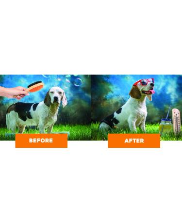 Crbn Short Hair Dog Brush - Detangling Shedding Coat Remover - Buy Online on GoSupps.com