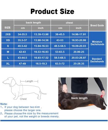 Dachshund Raincoat - Waterproof Winter Clothes for Miniature Dachshund XS Blue - Buy Online on GoSupps.com