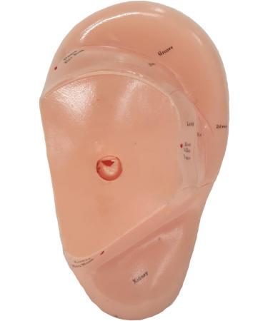Ear Zone Model XC-514A - Height 7 | Premium Quality Ear Protection - Buy Online on GoSupps.com