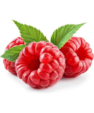 Cottage Moisturising Shower Milk - Raspberry Cream - 97% of Natural Ingredients - Made in France - 250 ml - Buy Online on GoSupps.com