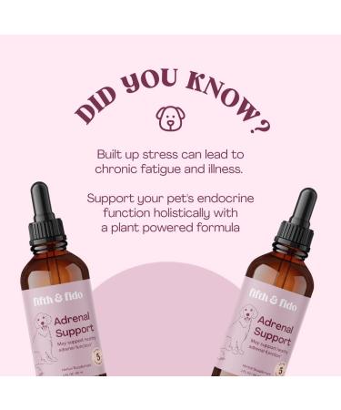 Dog Adrenal Support - Herbal Kidney & Cushings Treatment - 2 Fl Ounces - Buy Online on GoSupps.com