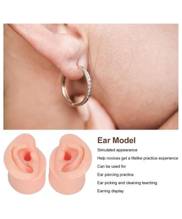 Silicone Ear Model for Jewelry Display & Practice Piercings - Left and Right Soft Flexible Fake Ear Mold for Teaching Tool - Buy Online on GoSupps.com