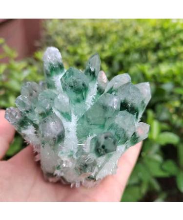 Natural Crystal Rough 1pc Natural Green Phantom Quartz Crystal Cluster Stone Ornaments 300G-900G for (Color : 1pc810g-900g Size : 1PC) 1PC 1pc810g-900g - Buy Online on GoSupps.com