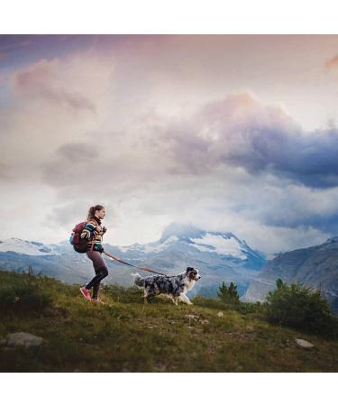 Non-Stop Dogwear Trekking Belt Size S - Blue | Best for Hiking & Outdoor Adventures - Buy Online on GoSupps.com