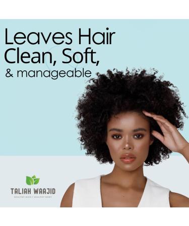 Taliah Waajid Scalp Care Follicle Therapy Shampoo | Natural Treatment for Thinning Hair & Hair Loss | Wild Sea Moss Rosemary & Aloe | 8oz - Buy Online on GoSupps.com