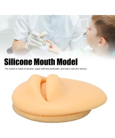 Artificial Mouth Model Soft Silicone Mouth Model Flexible Simulation Human Mouth for Body Part Display Teaching Tool Personal Care - Buy Online on GoSupps.com