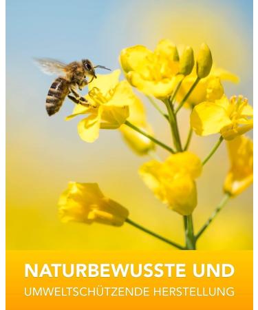 Nordbienchen Propolis Tincture 20% - 50ml Bees Propolis Extract Drops | Premium Beekeeping Quality - Buy Online on GoSupps.com