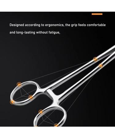 JNAWA Reptile Feeding Clip Pet Raising Feeding Tool Reptile Terrarium Stainless Steel Tongs Tweezers for Snake Lizard Reptile Animal - Buy Online on GoSupps.com