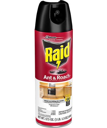 Raid Ant and Roach Killer 1.09 lb (Pack of 4) | Fragrance-Free Formula - Buy Online on GoSupps.com