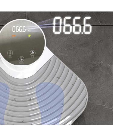 Household Body Foot Dryer Negative Ion Bathroom Body Hair Dryer Weighing Scale Electronic Body Hair Dryer for SPA Body Heater Blow Dryer Waterproof All-Round Quick-Drying for Bathroom Household Standardmodel - Buy Online on GoSupps.com