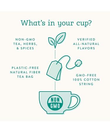 Stash Herbal Tea Sampler Gift Set - 60 Count Variety Pack with 20 Flavors - Caffeine-Free and Naturally Delicious - Perfect Holiday Gift for Women and Men - Buy Online on GoSupps.com