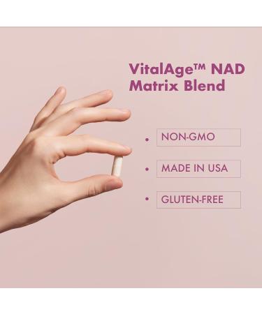 VHC NAD+ Supplement, NMN Alternative Liposomes with CoQ10, Trans-Resveratrol for Women & Men,Support Energy, Anti-Aging,Focus,90 Capsules - Buy Online on GoSupps.com