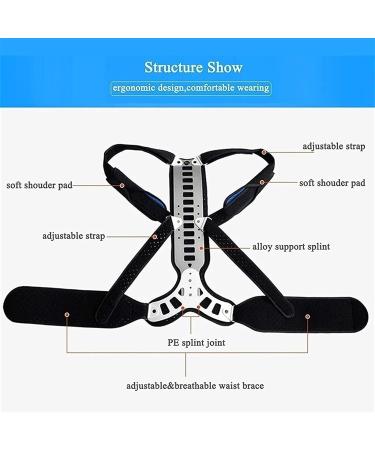 Spinal Protector Back Brace for Adults - Lumbar & Shoulder Posture Corrector | Pain Relief for Men & Women | Small Size - Buy Online on GoSupps.com