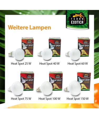 Terra Exotica 100W Heat Spot 3 Pack - Ideal Reptile Terrarium Lighting & Heat Lamps - 25W to 150W Options Available - Buy Online on GoSupps.com