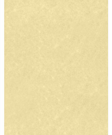 LUXPaper 8.5 x 11 Paper for Crafts and Printing in Gold Parchment Scrapbook and Office Supplies 50 Pack (Gold)