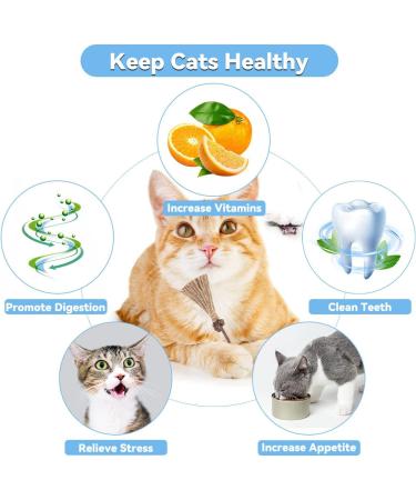 Aucenix Cat Chew Toy Silvercine Sticks for Indoor Cats Natural Matatabi Cat Teeth Cleaning Toy Kitten Teething Chew Stick for Kitty Pets Exercise Playing Chewing (3 Sticks) - Buy Online on GoSupps.com