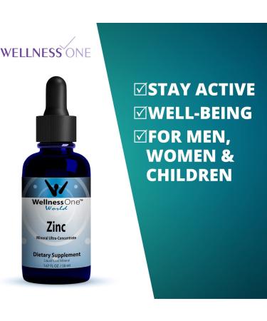 WellnessOne Ionic Zinc Liquid - Immune Support & Skin Care Supplement 100 Day Supply - 15mg Zinc Sulfate - Easy to Swallow Drops for Kids & Adults - Buy Online on GoSupps.com