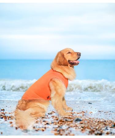 Kickred 2 Pack Dog Cooling Shirts Ice Pet Vest Dog Clothes for Instant Cooling Ultra Lightweight Breathable Sleeveless T-Shirts for Large Dogs Boy Girl 2XL XXL Peacock Blue+Orangered - Buy Online on GoSupps.com