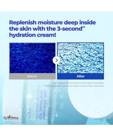 IsNtree ISTREE Zinc Aqua Cream 30ml 1.01 fl oz | Korean Skincare | Ultra-Low Molecular Hyaluronic Acid | Pore Refining & Oil Control | Cooling & Hydrating Gel Cream - Buy Online on GoSupps.com