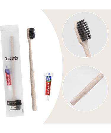 Tedule Disposable Toothbrushes with Toothpaste - 50 Pack Apricot Manual Toothbrushes for Hotels Family Homeless Nursing Homes - Convenient & Travel-Friendly - Buy Online on GoSupps.com