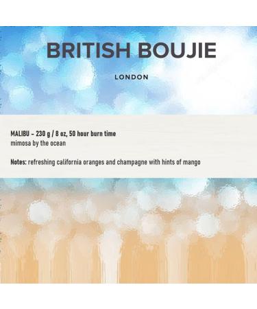 Malibu Premium Scented Candle - Luxurious Mimosa Fragrance - Long Burn Time - 280gm Natural Wax - Ideal Gift for Women & Men - Buy Online on GoSupps.com