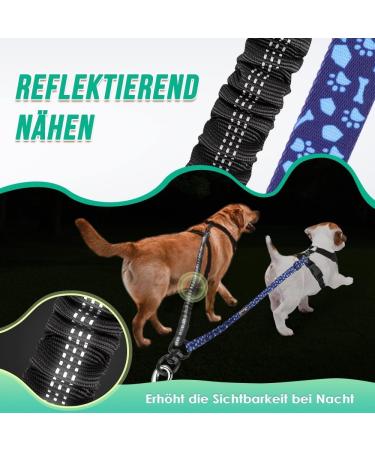 Buy NASJAC Double Dog Leash | 360 Rotatable No-Tangle Design | Adjustable Shock-Damping for All Sizes | Reflective & Durable | Black & Blue - Buy Online on GoSupps.com