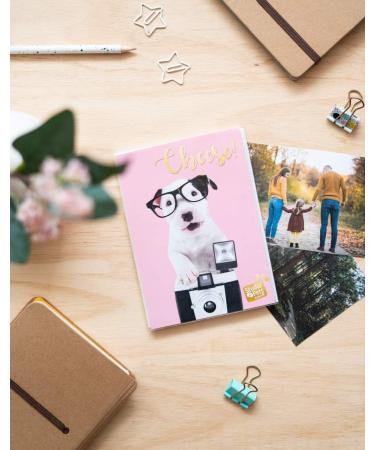 Grupo Erik Official Studio Pets Dog Charlie Photo Album 6x4 Photo Album / 10x15 cm Family Photo Album 36 Pockets Friend Gifts Gifts For Dog Lovers Photo Albums 6x4 36 photos Photo Album Slip In - Buy Online on GoSupps.com