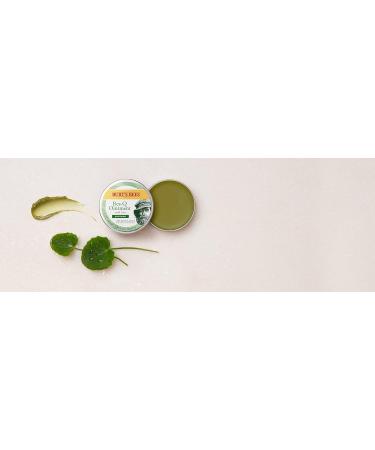 Burt s Bees 100% Natural Res-Q Ointment 15g - Buy Online on GoSupps.com