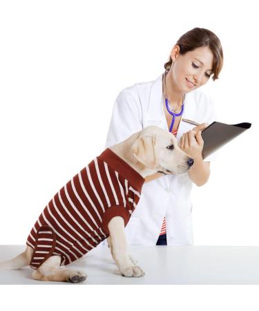 HJYOKUSO Surge Suits for Dogs | Postoperative E-Collar Alternative | Prevents Licking & Protects Abdominal Wounds (Brown XS) - Buy Online on GoSupps.com