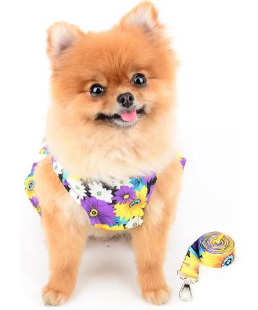 Paidful Dog Harness Dress for Small Dogs & Cats - Colorful Floral Tutu Breathable Mesh Pet Clothing with 1.6m Leash - Perfect for Mini Puppies Chihuahuas & Yorkies - Lila XL (Back Length: 35cm Bust: 47cm) - Spring Fashion - Buy Online on GoSupps.com