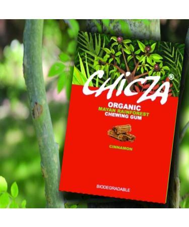 CHICZA CHICZA The Organic Mayan Chewing Gum Cinnamon 2 x 30g Packs